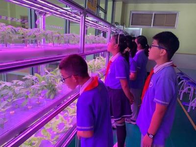 威海这所小学里藏着个植物工厂 当一粒种子，成为一座实践教育的桥梁